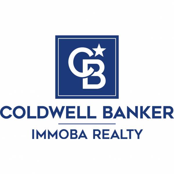 IMMOBA-REALTY_bleu